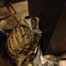 보거스고깃집 이미지