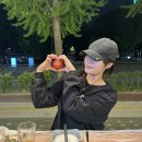 완도노화횟집 | [석촌횟집] 송파에서 제일 맛있는 횟집 NN번째 내돈내산 후기, 완도산회 송파별관