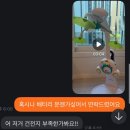 [임신 26주] 본격적인 출산용품 준비/당근에 빠져버린 임산부 일상/라비킷 분유포트/타이니모빌/꼬꼬맘
