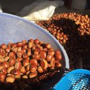 재철농장 이미지