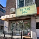 포테이토 독 이미지