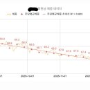 나우피티 스튜디오 이미지