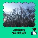일광면 이천마을회관 앞 | 나무제거비용 벌목 견적 문의