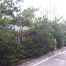 군산자동차학원 이미지