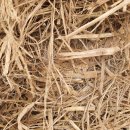 볏집사랑 이미지