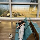 뮤지컬 ''세수'' | [런던 여행기 D+1] 인천에서 런던 에티하드 항공, 런던에서 펍 가기, 뮤지컬 맘마미아, 파이브가이즈