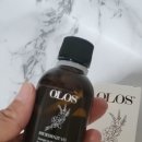 팜스발리 이미지