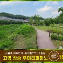 더빌리지 이미지