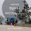 현일민박 | 대천해수욕장 현일하우스 바닷가20초거리에 있어요