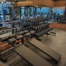 옥스 휘트니스 이미지