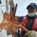 나라3호 이미지