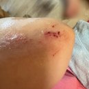 춘천 계곡민박 | 춘천 24시 '귀틀촌황토솔잎찜질방' 찜질방 덕후가 반해버린 찐후기 (주차/계곡/민박/주의사항)