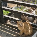 배은농장 이미지