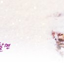 품고
