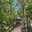 백운사 | 5월 6월 경남등산추천 창원등산코스 무학산 최단거리 코스 백운사코스 등산 후기