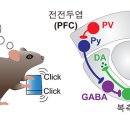 이** - 청도군 청도신기길 | 이**