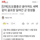 [단독]北오물풍선 쏟아져도 새벽같이 골프장 달려간 군 장성들 이미지