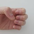 갈마네거리 | 갈마동 네일 갈마네거리 네일아트 이달의아트 내돈내산 후기 CU 대전갈마베스트점 부근 네일샵