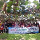 천사농장 이미지