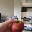 쿠알라룸푸르 레지던스 :: 버브스위트 몽키아라 VERVE suites mont kiara (베르브 스위트 몬트 키아라)