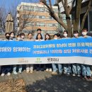 조이병원 데일리벳