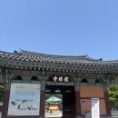 용주사 | 화성 가볼만한 곳 용주사 후기｜산책하기 좋은 사찰 추천