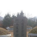 11세 대호군 휘여광 묘지명 이미지