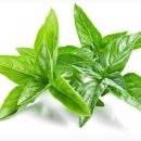 10월 15일(목) 79 출석부 이미지