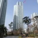 에코중앙로 이미지