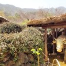 평사리의 별빛 이미지