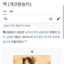 남아공 고지능 철도 운영 원숭이.jpg 이미지