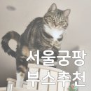 필로네이처 | 궁디팡팡 캣페스타, 6년차 집사가 추천하는 부스