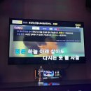 화도왕오리 | 25.06_3
