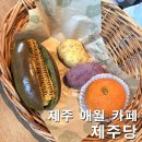 제주당 구황작물빵으로 당 충전 완료! 애월에서 만난 역대급 규모의 이색 카페