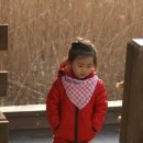 2011년 설날에 이미지