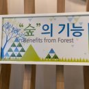 송이밸리자연휴양림 이미지