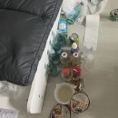 피자비토랩 서구점 | 11월부터 12월까지가아니라 12월초까지