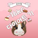 꿈에본 pig | [공지] [다이어트] -16KG 감량 다이어트 비법(추천/비추천 : 다이어트 약, 다이어트 한약, 걸그룹 주사...