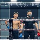 프뉴마 킥복싱, 태권도 이미지