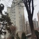 강촌로1 이미지