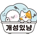 개성있냥