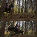 (주) 태종 이미지
