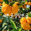 욱이네과일 - 영천시 운주로 777 | 욱이네과일