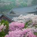 각원사길 이미지