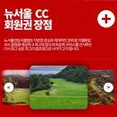 뉴서울