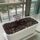 규형농장 이미지