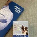 제이플러스 | 닥터독 베스초이스 뉴트리션 제이플러스 관절영양제 후기