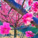 힐타운 공인중개사사무소 이미지