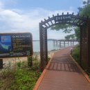 신동습지 이미지