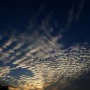 저두농장 이미지